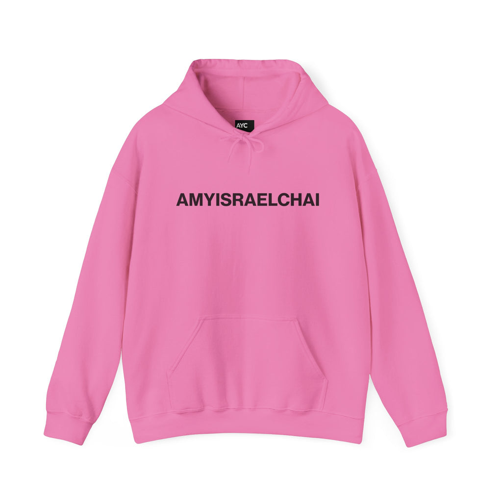 AYC Bold — Hoodie