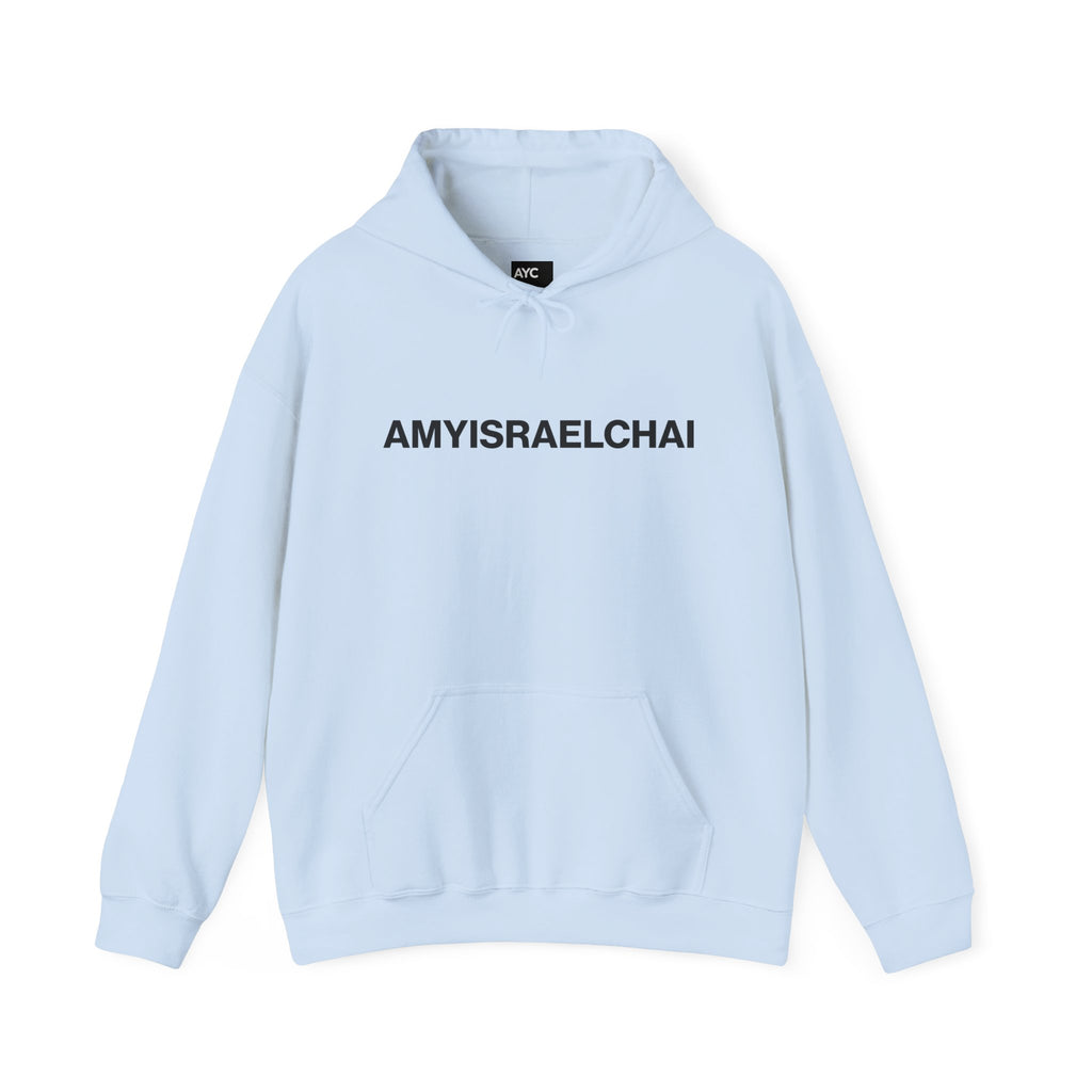 AYC Bold — Hoodie