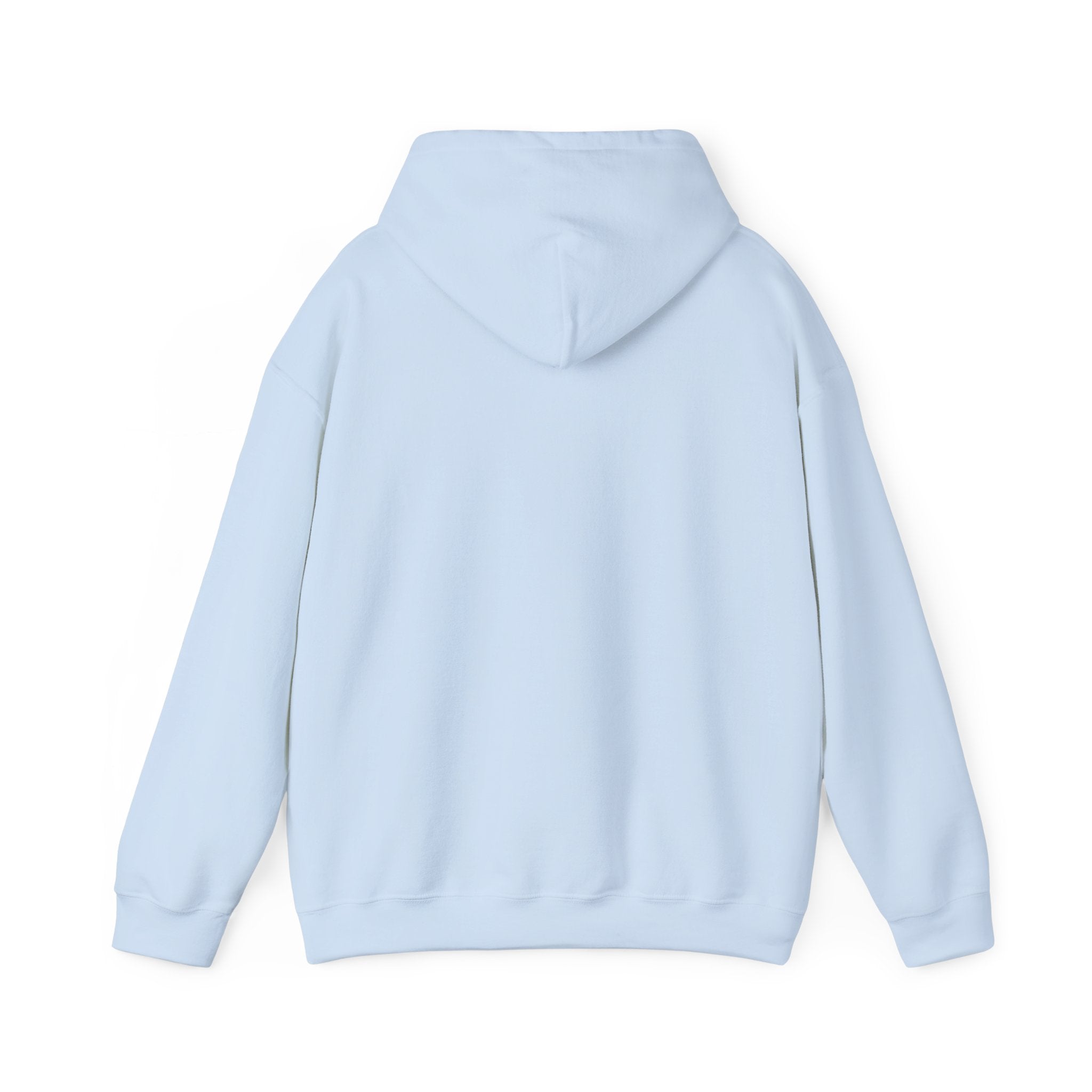 AYC Bold — Hoodie
