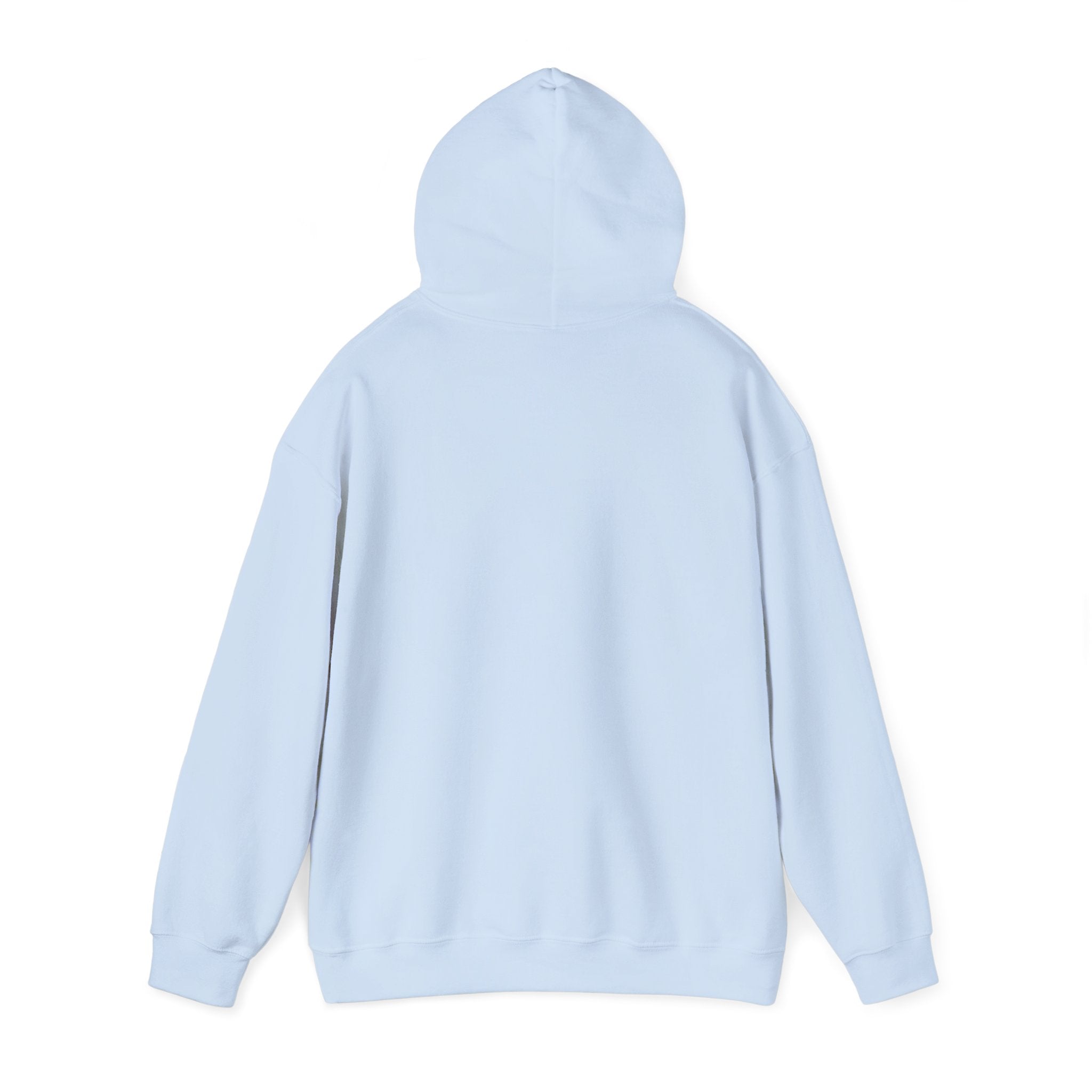 AYC Bold — Hoodie