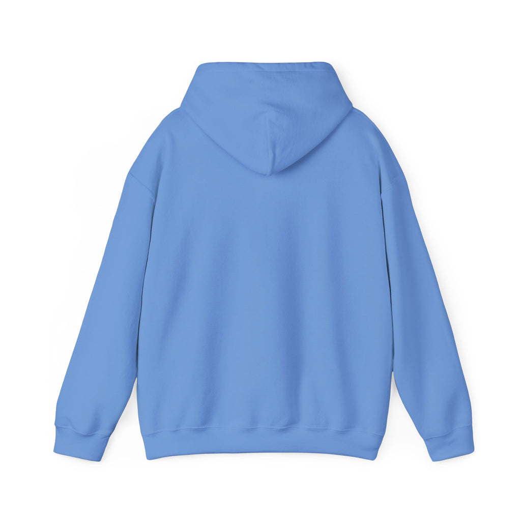 AYC Bold — Hoodie