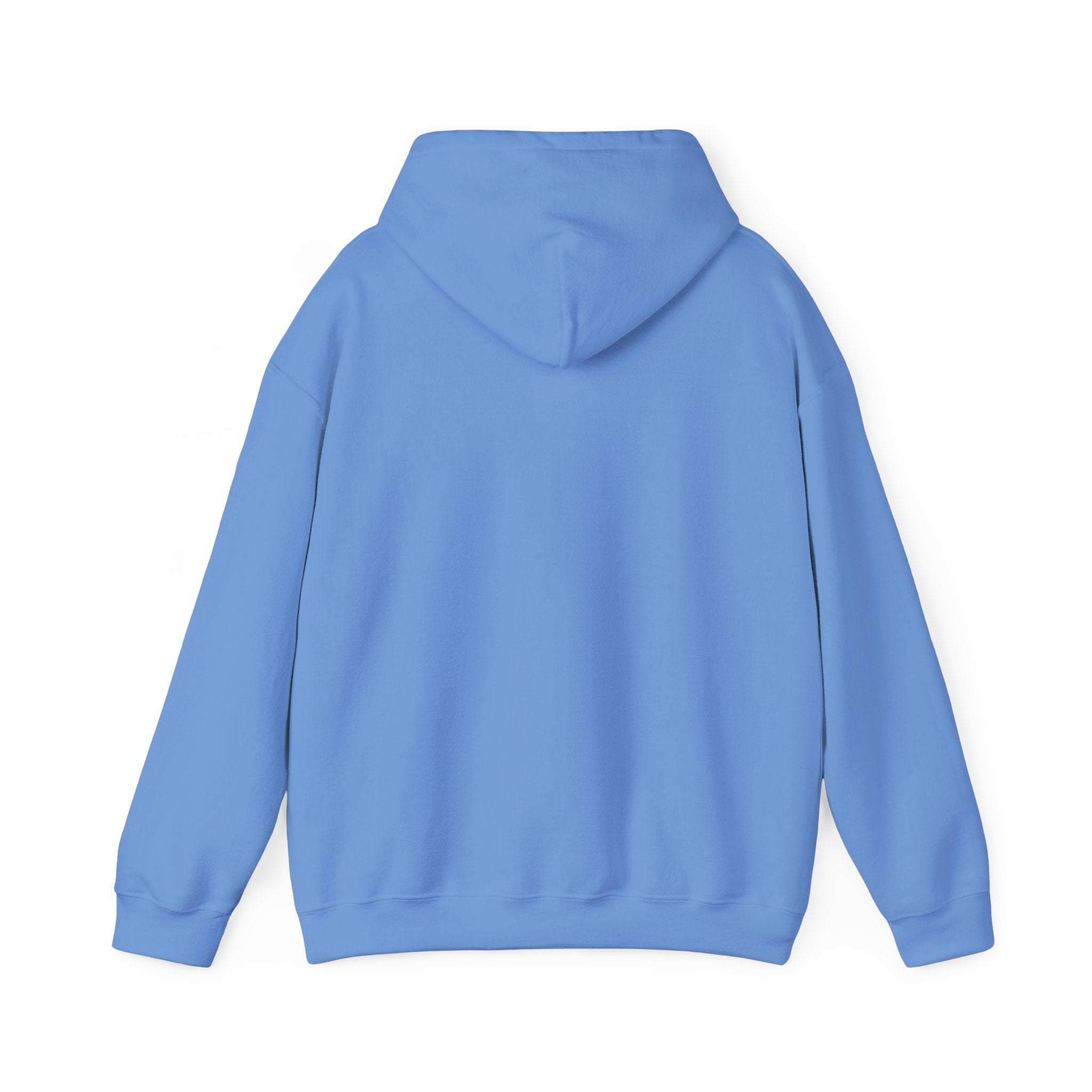 AYC Bold — Hoodie