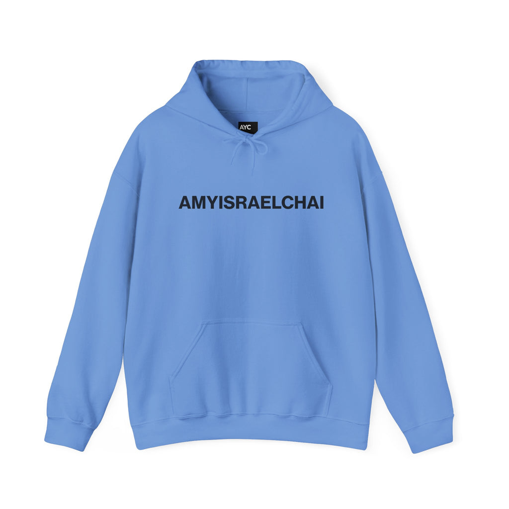 AYC Bold — Hoodie