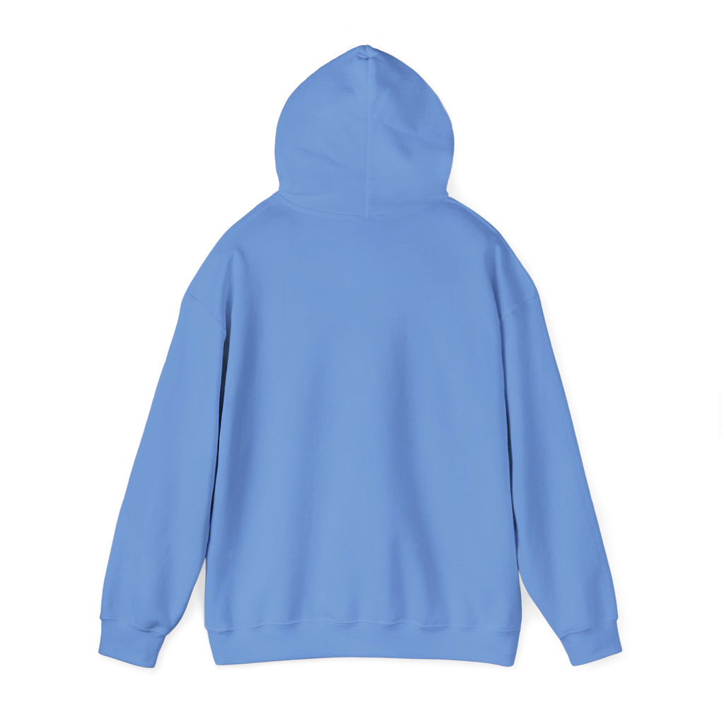 AYC Bold — Hoodie