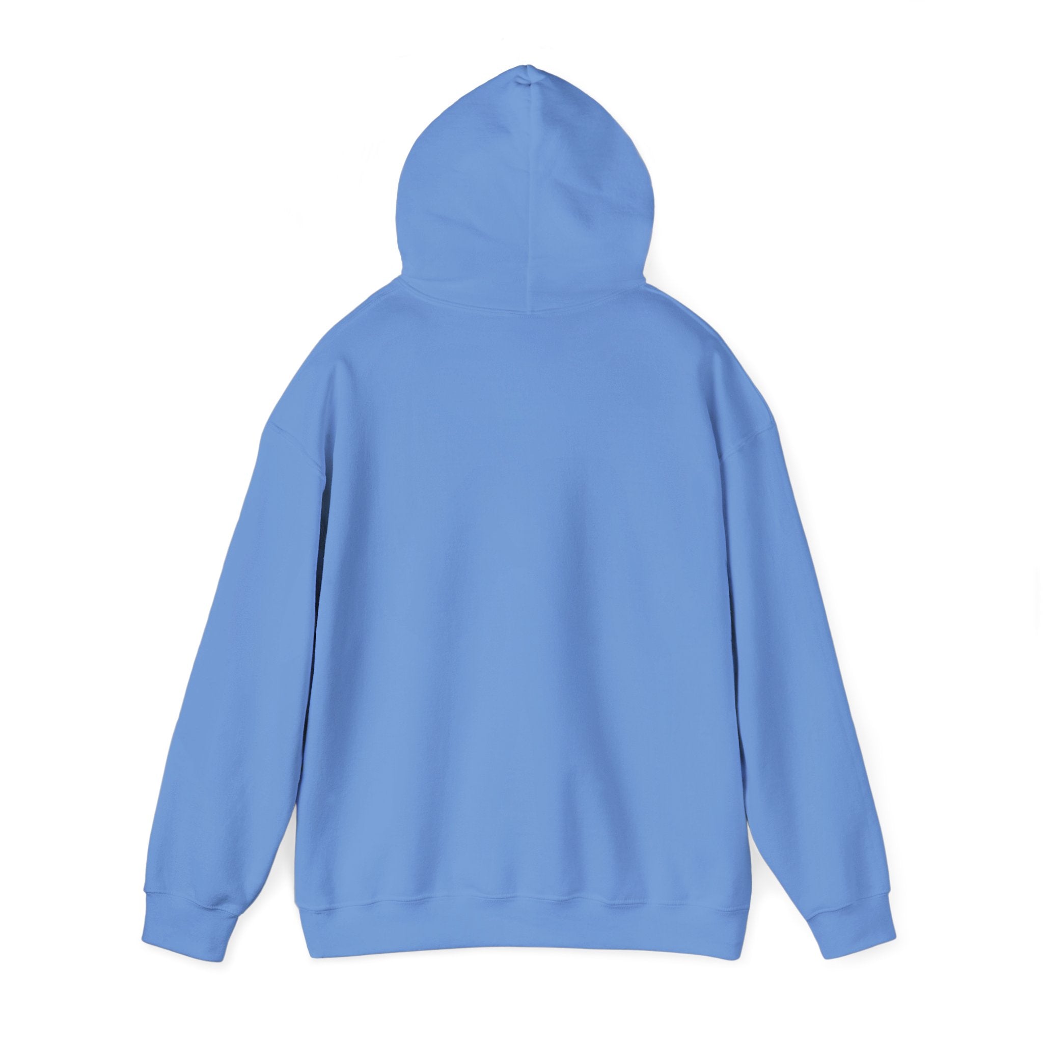 AYC Bold — Hoodie